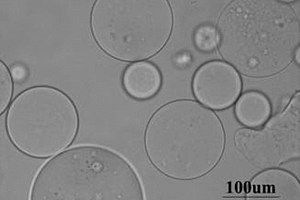 納米淀粉基微凝膠微球及其制備方法和應(yīng)用