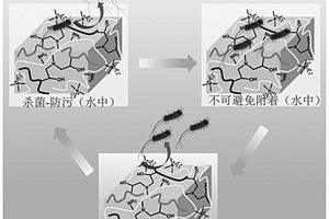 殺菌、低細菌粘附、細菌釋放的抗菌水凝膠及其制備方法和應用