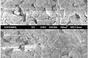 用于煙氣脫硝的抗H<sub>2</sub>O、SO<sub>2</sub>、重金屬和粉塵毒化多元催化劑