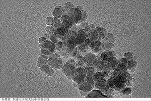 以微生物細(xì)胞分泌液為基質(zhì)制備生物兼容的四氧化三鐵納米顆粒的方法及其應(yīng)用