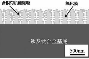 空間環(huán)境用基材表面抗菌結(jié)構(gòu)及其制備方法