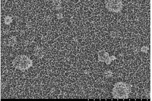 二氧化釩納米多孔狀薄膜及其制備方法