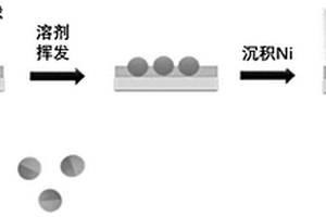 光磁雙重響應(yīng)的Janus粒子、制備和應(yīng)用與形貌調(diào)控方法