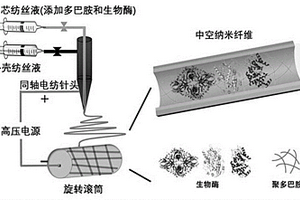 中空納米纖維內(nèi)部固定化生物酶的制備方法