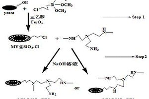 磁性包硅酵母嫁接聚乙烯亞胺生物復(fù)合材料的制備方法及其應(yīng)用