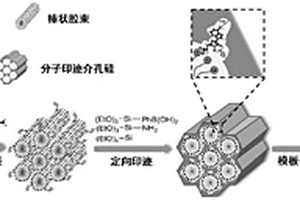 分子印跡介孔材料合成方法與應(yīng)用