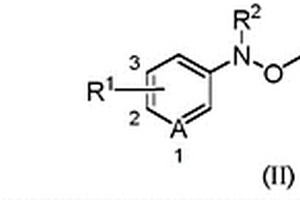 四氫呋喃參與的N-芳基-N-羥胺類化合物二氟丁氧基化的方法