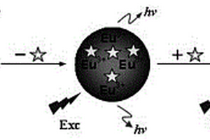 對農(nóng)殘檢測的Eu3+標(biāo)記分子印記傳感器制備方法