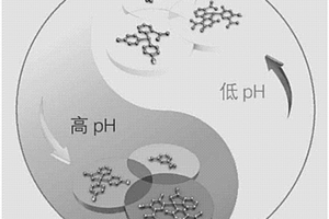 基于電解液的電致變色方法