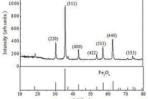 超高飽和磁化強(qiáng)度Fe<sub>3</sub>O<sub>4</sub>納米顆粒及其磁性流體的制備方法