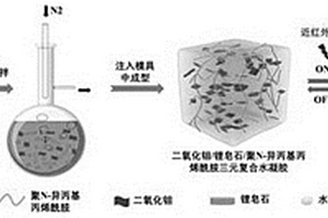 光熱轉(zhuǎn)換水凝膠的制備方法及應用