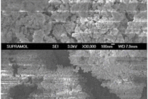 抗H<sub>2</sub>O、SO<sub>2</sub>和堿金屬化毒害的煙氣脫硝多元催化劑