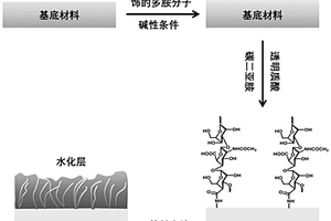 具有生物抗污功能的材料、其制備方法及應用