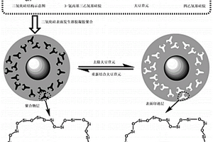 大豆苷元溶膠凝膠表面分子印跡聚合物及其制備方法