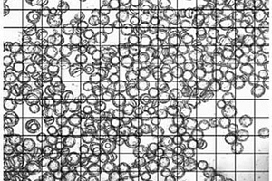 超大粒徑的中空可膨脹微球及其制備方法