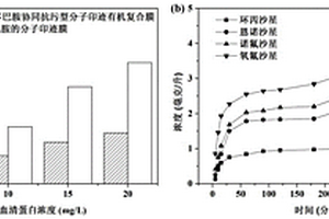 β-環(huán)糊精/聚多巴胺協(xié)同抗污型分子印跡有機(jī)復(fù)合膜的制備方法及其應(yīng)用