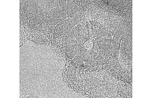 納米洋蔥狀類富勒烯材料及制備