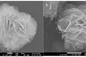 g-C<sub>3</sub>N<sub>4</sub>/BiOI-pDA@PVDF光催化膜的仿生構(gòu)建方法及其用途