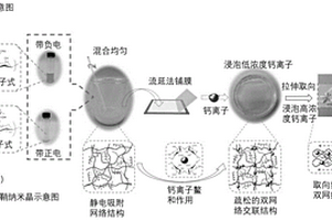 高強(qiáng)度納米纖維素/海藻酸復(fù)合水凝膠的制備方法