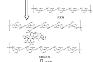 用于染料吸附的殼聚糖-環(huán)糊精基海綿的制備方法