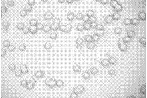 疏水親油高分子復合微球的制備方法