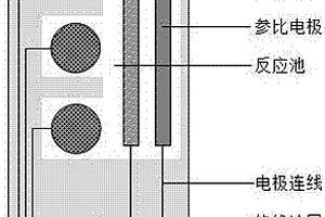 基于分子印跡檢測瘦肉精多組分的傳感器