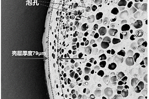 具有緩釋揮發(fā)性中草藥有效成分的功能高分子發(fā)泡材料、制備方法和用途