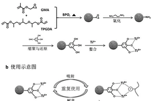 可重復(fù)使用的固定金屬離子親和色譜吸附劑及其制備和應(yīng)用