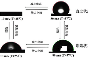 同時(shí)具有電和溫度響應(yīng)的形狀記憶復(fù)合材料及其制備方法和在固定化細(xì)胞中的應(yīng)用