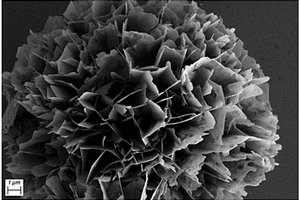 花狀納米復(fù)合材料及其制備方法和一種電極材料及其制備方法