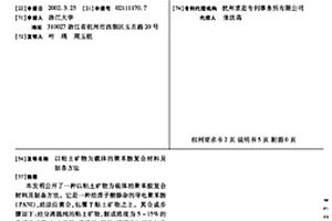 以粘土礦物為載體的聚苯胺復合材料及制備方法