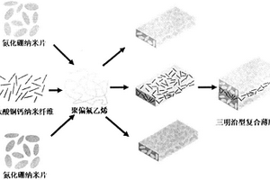 三明治結(jié)構(gòu)高儲(chǔ)能密度聚合物基介電復(fù)合材料及其制備方法