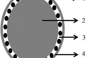雙殼層結(jié)構(gòu)復(fù)合材料、其制備方法及包含該復(fù)合材料的鋰離子電池