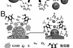 ZnO-Au@CdS光電復合材料及其制備方法和應用
