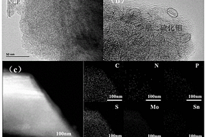 錫摻雜誘導(dǎo)合成混相二硫化鉬-小球藻衍生碳復(fù)合材料制備和應(yīng)用