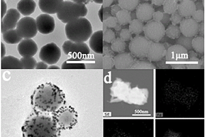 功能化Fe<sub>3</sub>O<sub>4</sub>/Au納米復(fù)合材料的制備方法及其在真菌毒素檢測的應(yīng)用