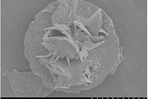 g?C<sub>3</sub>N<sub>4</sub>納米顆粒/花狀BiOI復(fù)合材料的制備方法