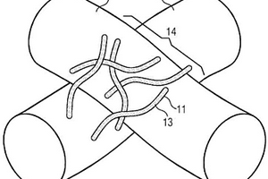 具有半導(dǎo)體或非導(dǎo)體納米顆粒的電絕緣納米復(fù)合材料，該納米復(fù)合材料的用途及其制備方法