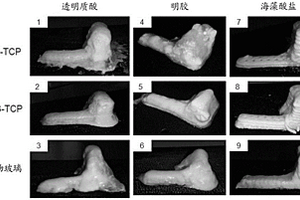 骨復(fù)合材料以及用于制備骨復(fù)合材料的組合物