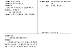 丁基橡膠離聚物納米復合材料