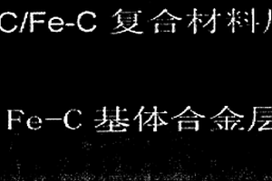 大斷面WCp/Fe-C復(fù)合材料-球鐵復(fù)合結(jié)構(gòu)輥環(huán)