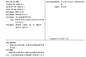 樹脂基復(fù)合材料翼片無模具連續(xù)螺旋鋪放成型方法