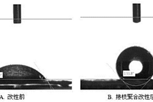 納米SiO2復(fù)合材料稠油降粘劑及其制備方法