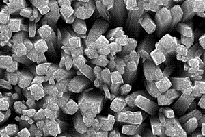 金修飾的磷摻雜氮化碳復(fù)合材料修飾二氧化鈦光電極、其制備方法及應(yīng)用