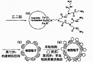 基于磁性納米粒子-PAMAM納米復合材料的金花茶中黃酮類物質(zhì)分離方法