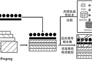 基于共固化和反應(yīng)誘導(dǎo)相分離的復(fù)合材料功能改性方法