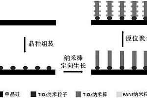 基于三元層級組裝的硅-二氧化鈦-聚苯胺復合材料及應用