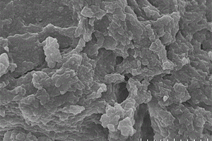 一鍋法制備UIO-66-NH<sub>2</sub>/功能性單體復(fù)合材料的方法及其在吸附抗生素中的應(yīng)用