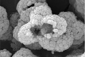 空心分等級結(jié)構(gòu)的Fe<sub>2</sub>O<sub>3</sub>及Fe<sub>2</sub>O<sub>3</sub>/CNT復(fù)合材料的制備方法