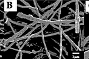 靜電紡絲與高溫碳化法制備氧化鋅-碳納米纖維復合材料及其修飾電極的方法
